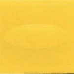 2001 Ford Zinc Yellow